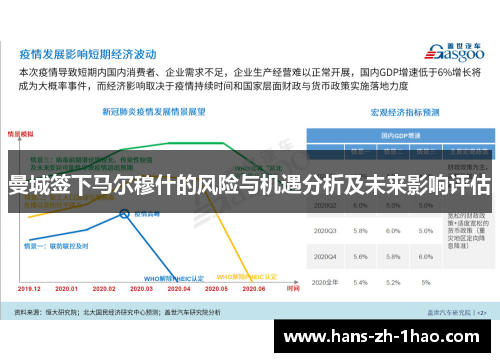 曼城签下马尔穆什的风险与机遇分析及未来影响评估 曼城签下马尔穆什的风险与机遇分析及未来影响评估